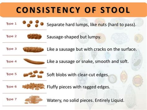 tests for soft stool|how are stool samples tested.